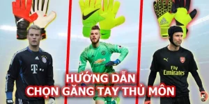 Găng Tay Thủ Môn Và Các Dòng Phổ Biến Nhất